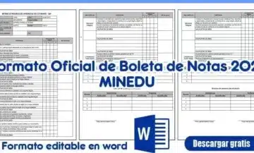 Boletas de Información 2021 Inicial, Primaria y Secundaria en Word y Excel EDITABLE